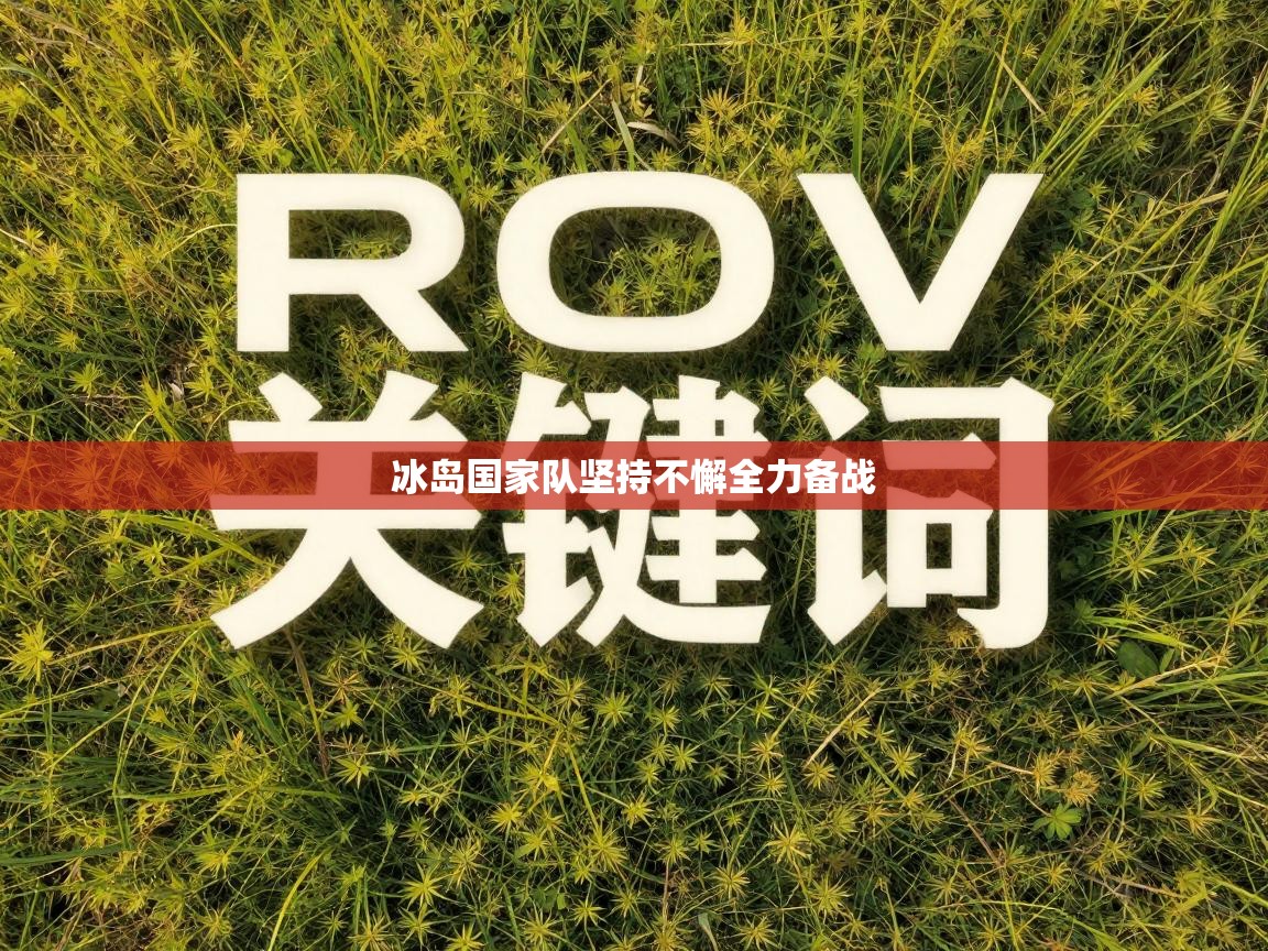 冰岛国家队坚持不懈全力备战