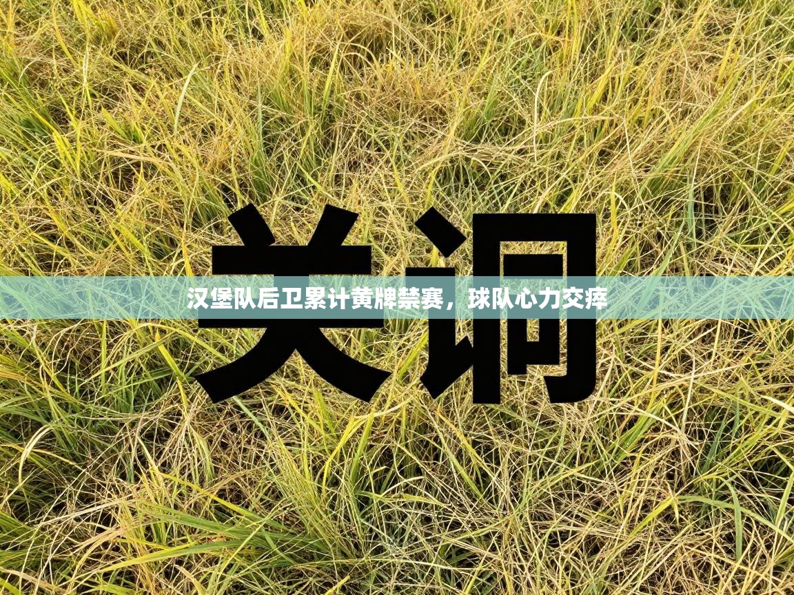 汉堡队后卫累计黄牌禁赛，球队心力交瘁